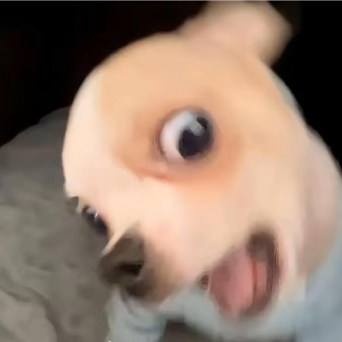 听说你也爱喝茶π.