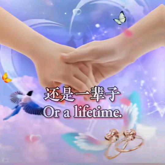 真心爱你不后悔