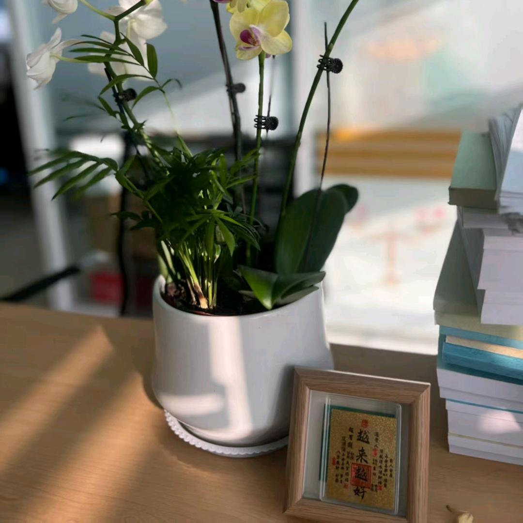 【☄️非你不可 活在当下 踏实生活☄️】