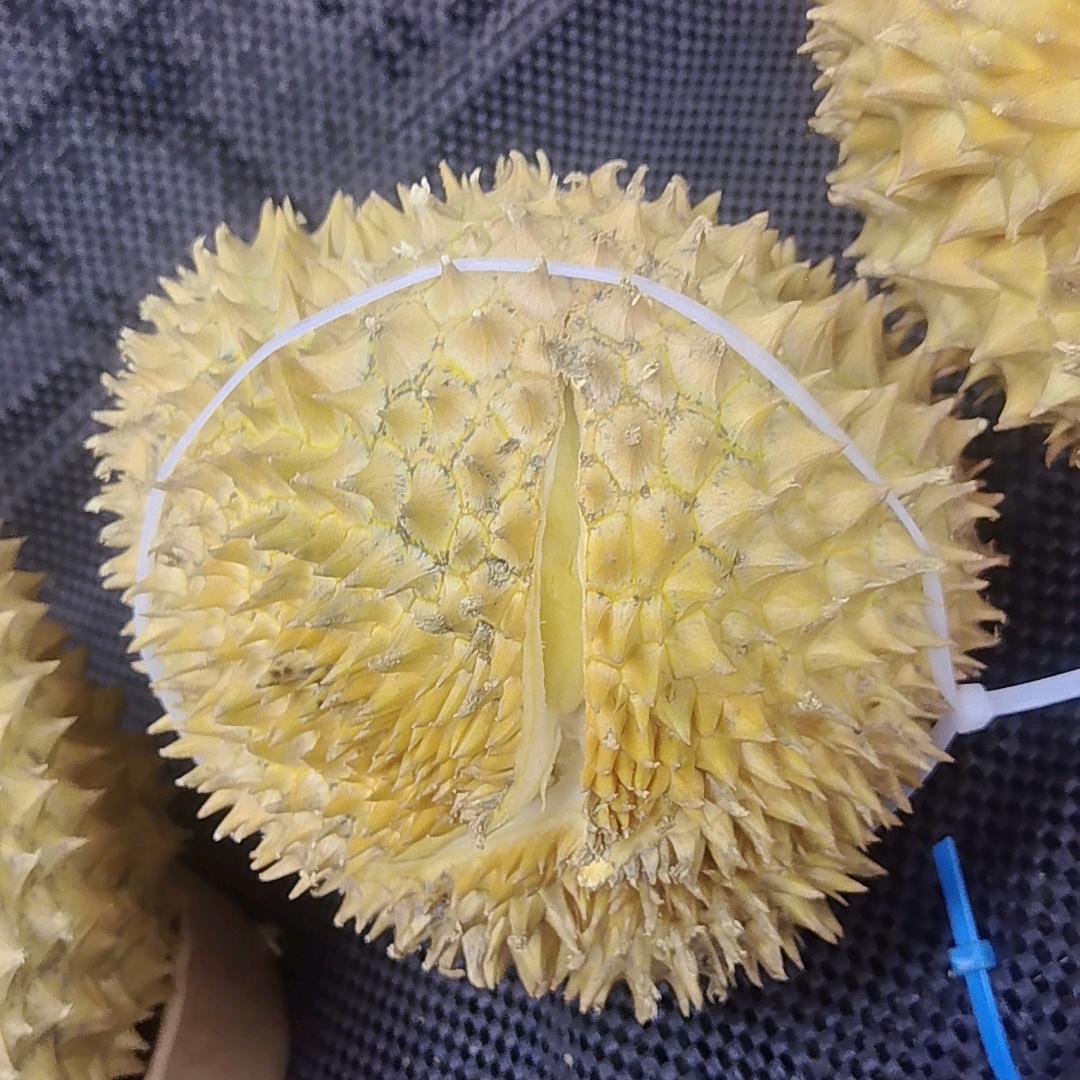 果真鲜