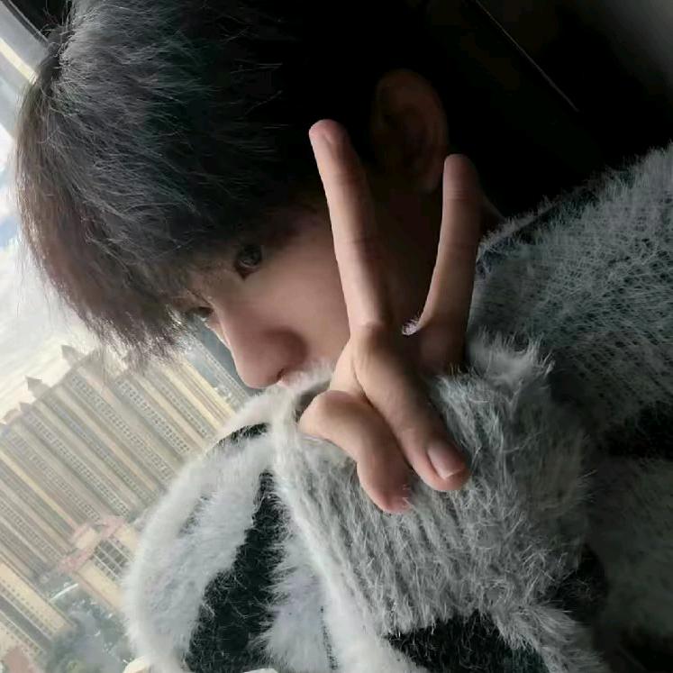 梦求真
