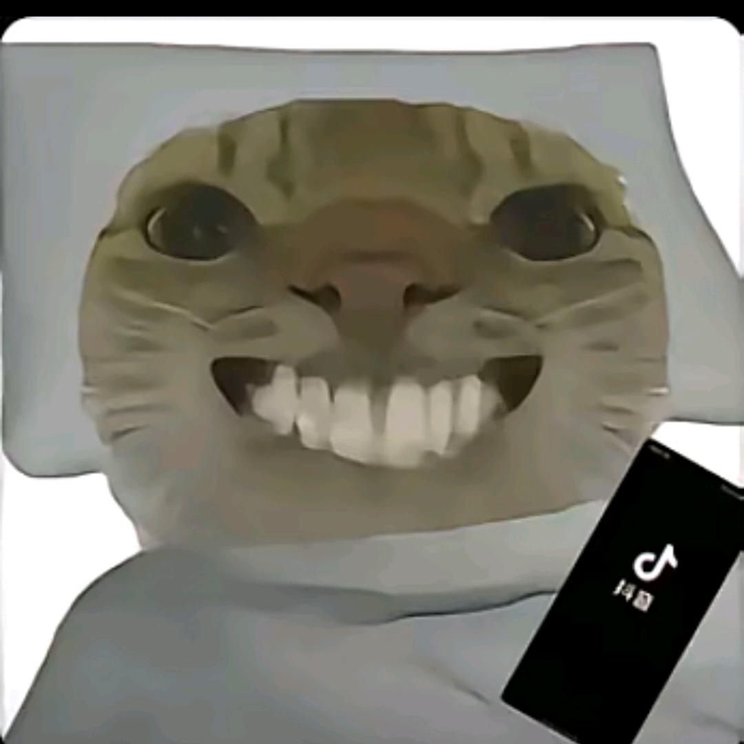 航天哈西力工.