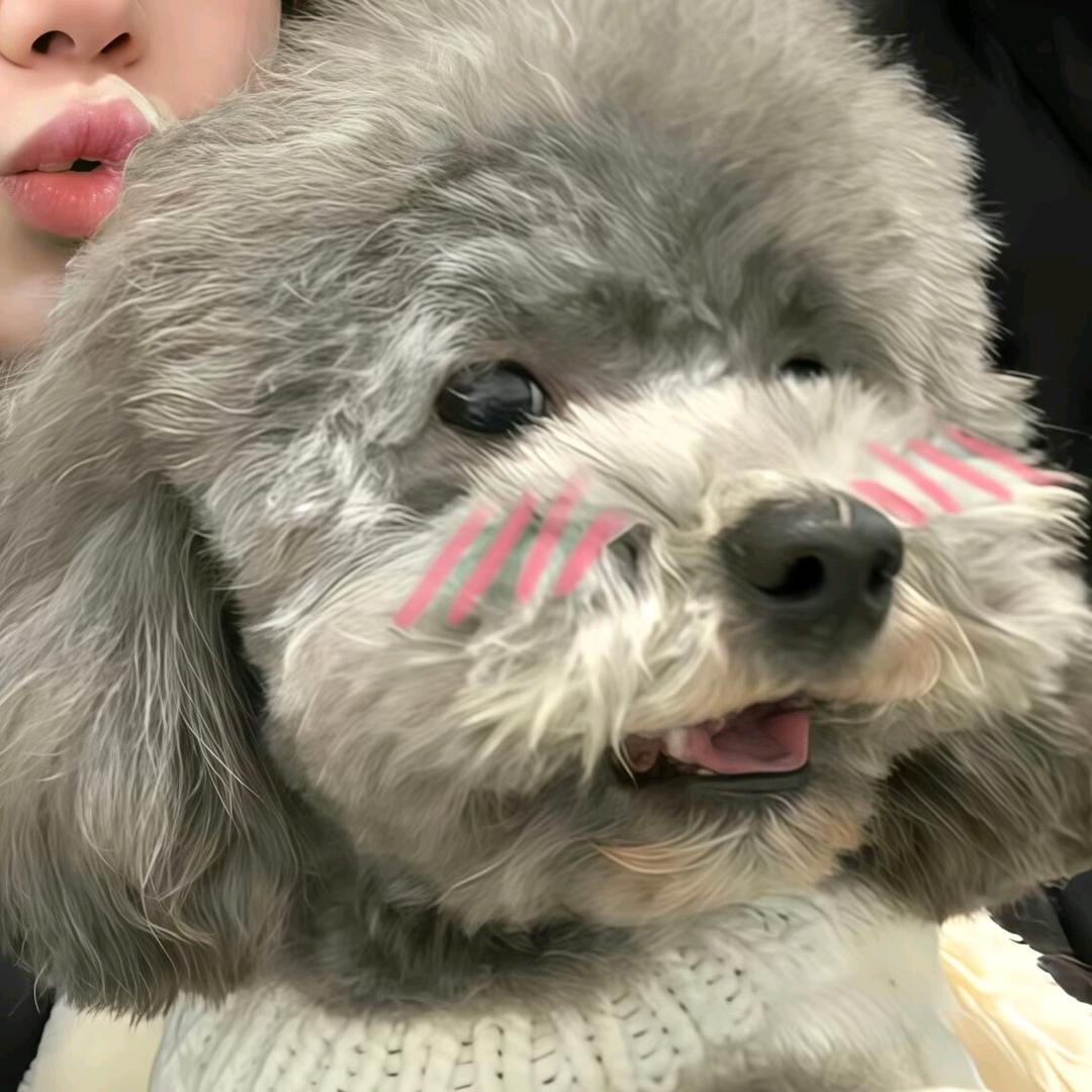 游戏嗨