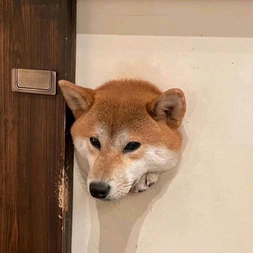 品川