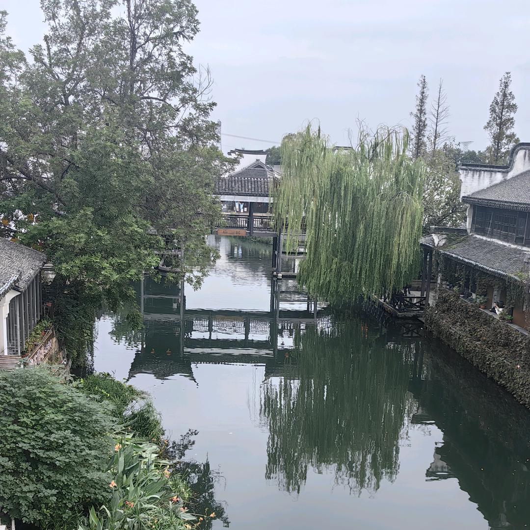 （梦醒）🇨🇳