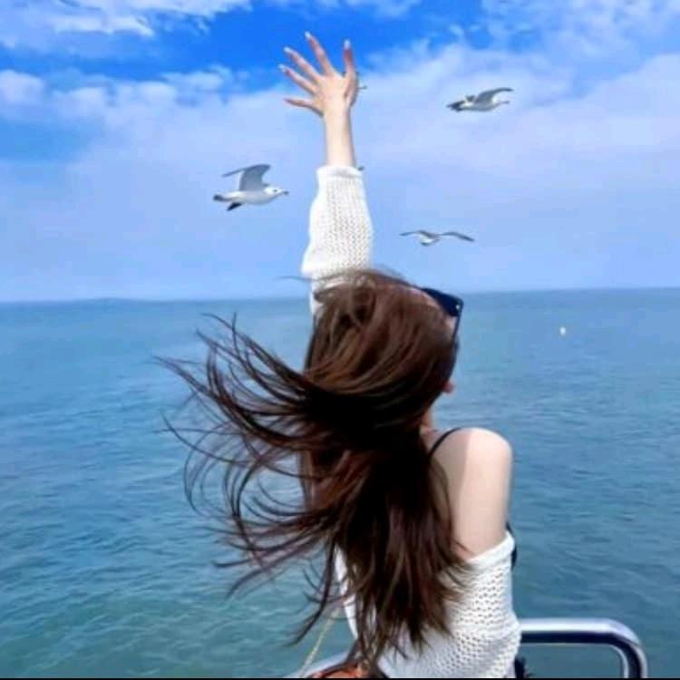 嘚了个嘚
