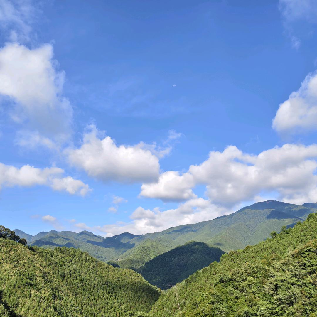 🌈半缘修道半缘君