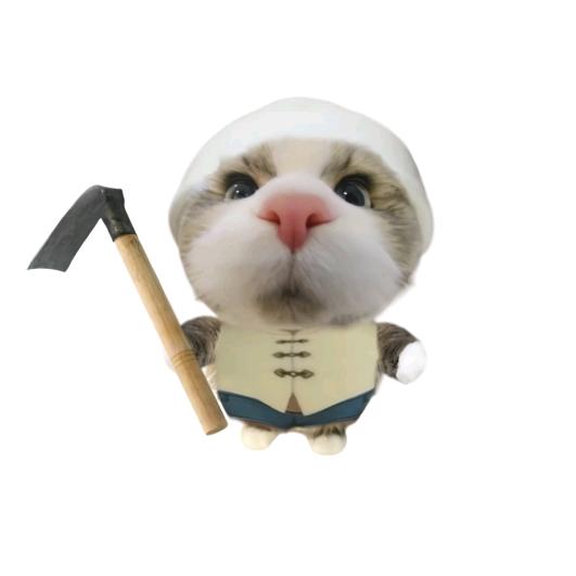 陈澈