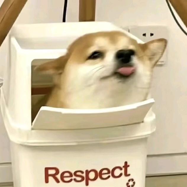 ˶𖦹⩊ᗜ˶ಣ