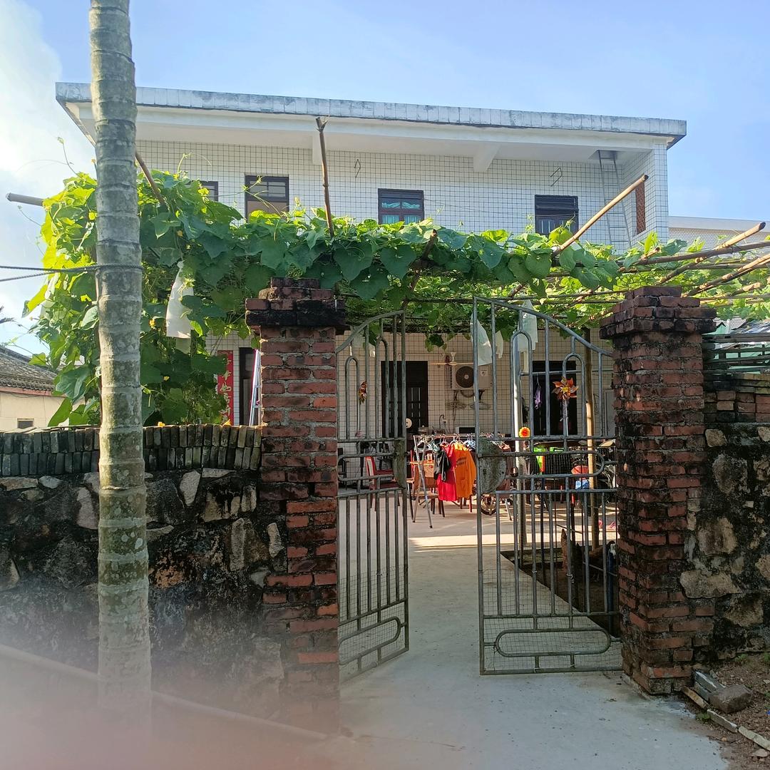 才华横溢👑感恩上天🏆