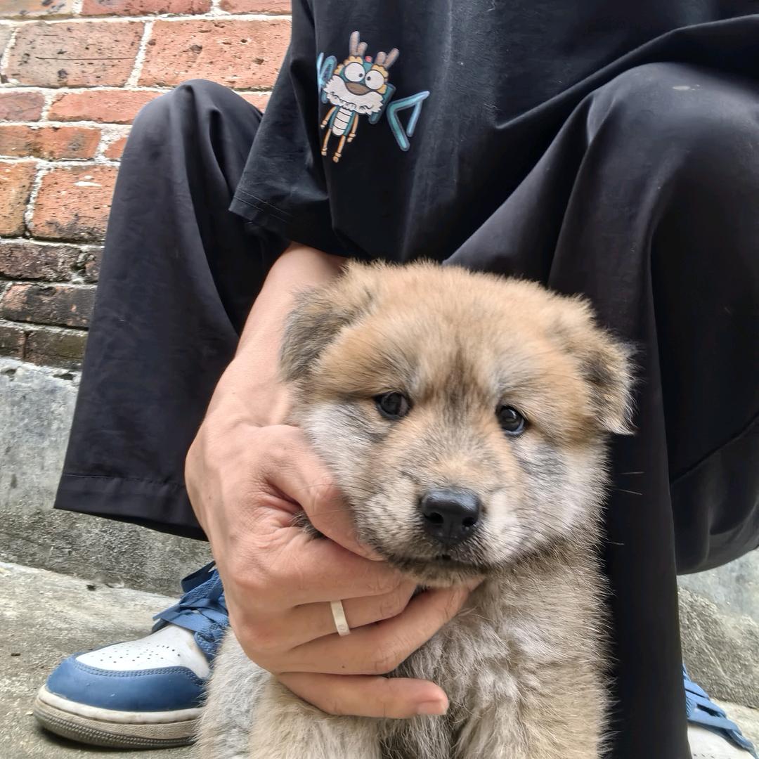 困的睡不着