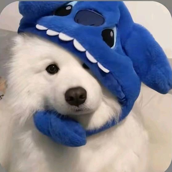 雁翎辞