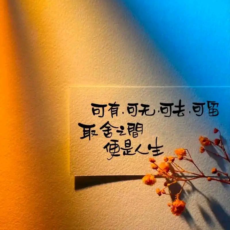 樊文花海港城店