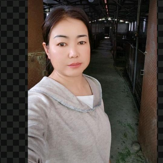 重启🌻