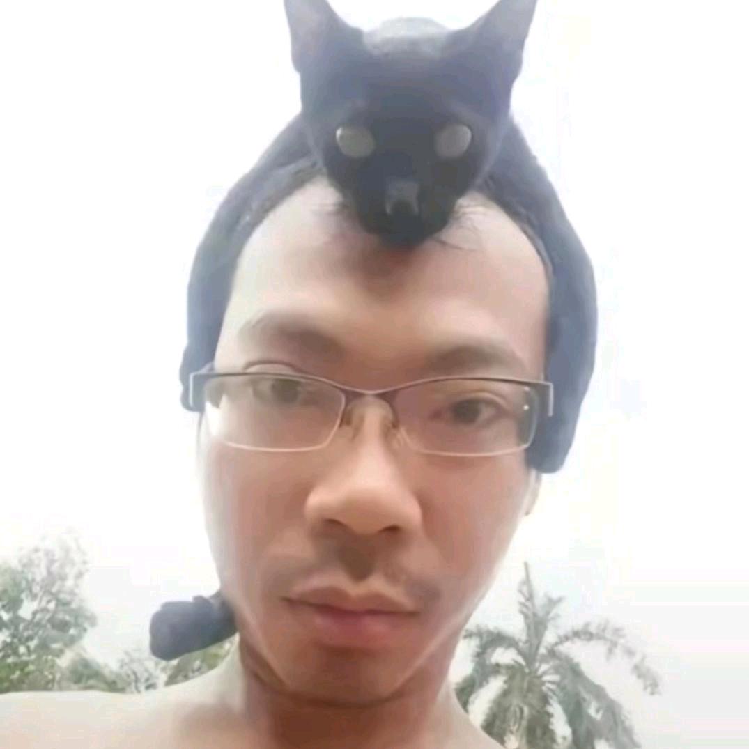 我是二次元（头像是我本人）