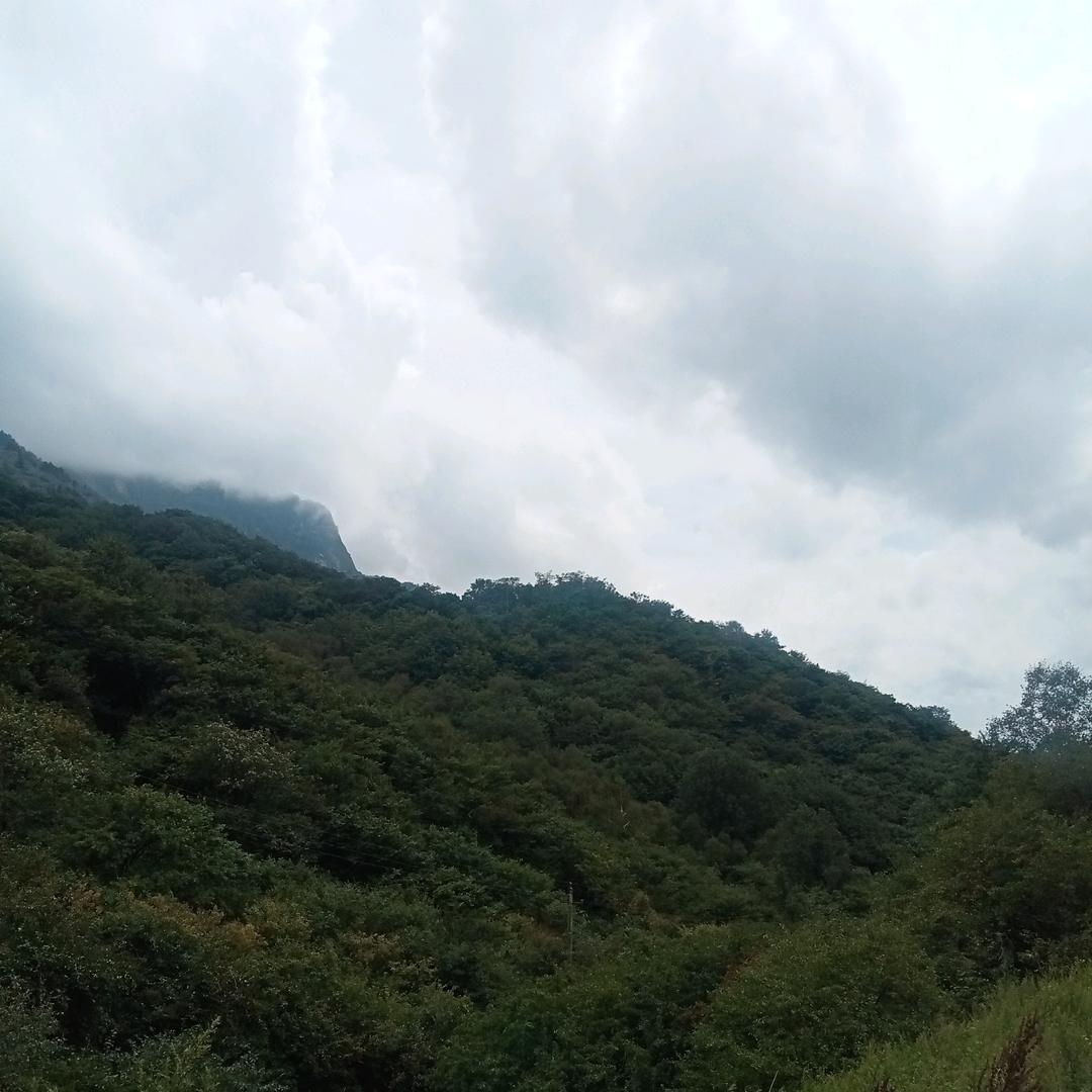 爱你无悔
