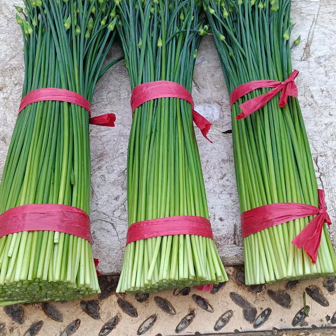 韭菜种子，徐向海。