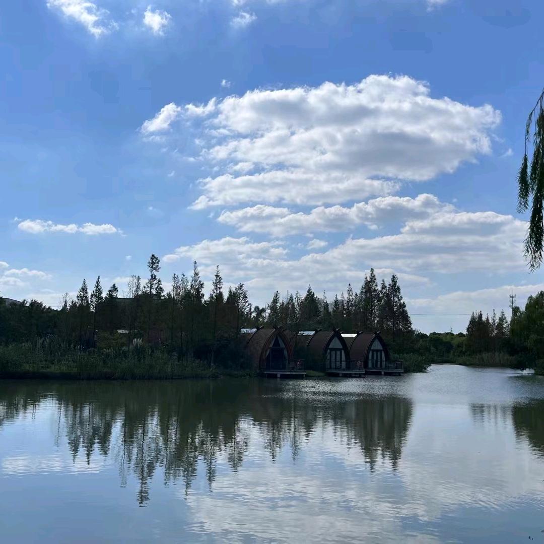 一生只爱你一人