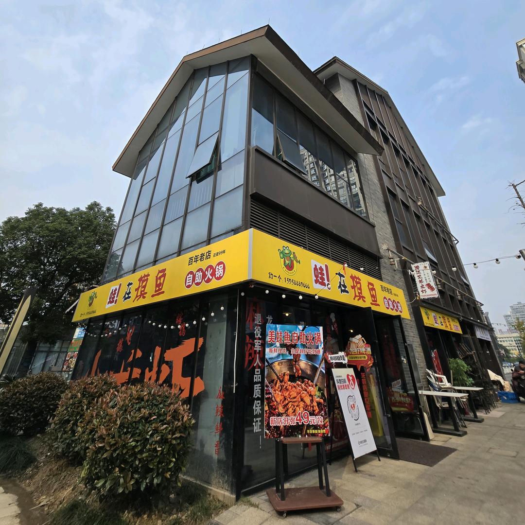 蛙 在摸鱼