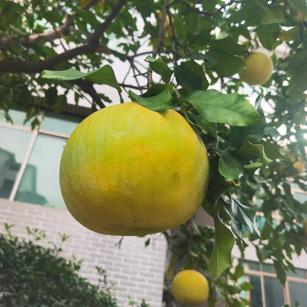 清镇108家居工厂直营（何姐）