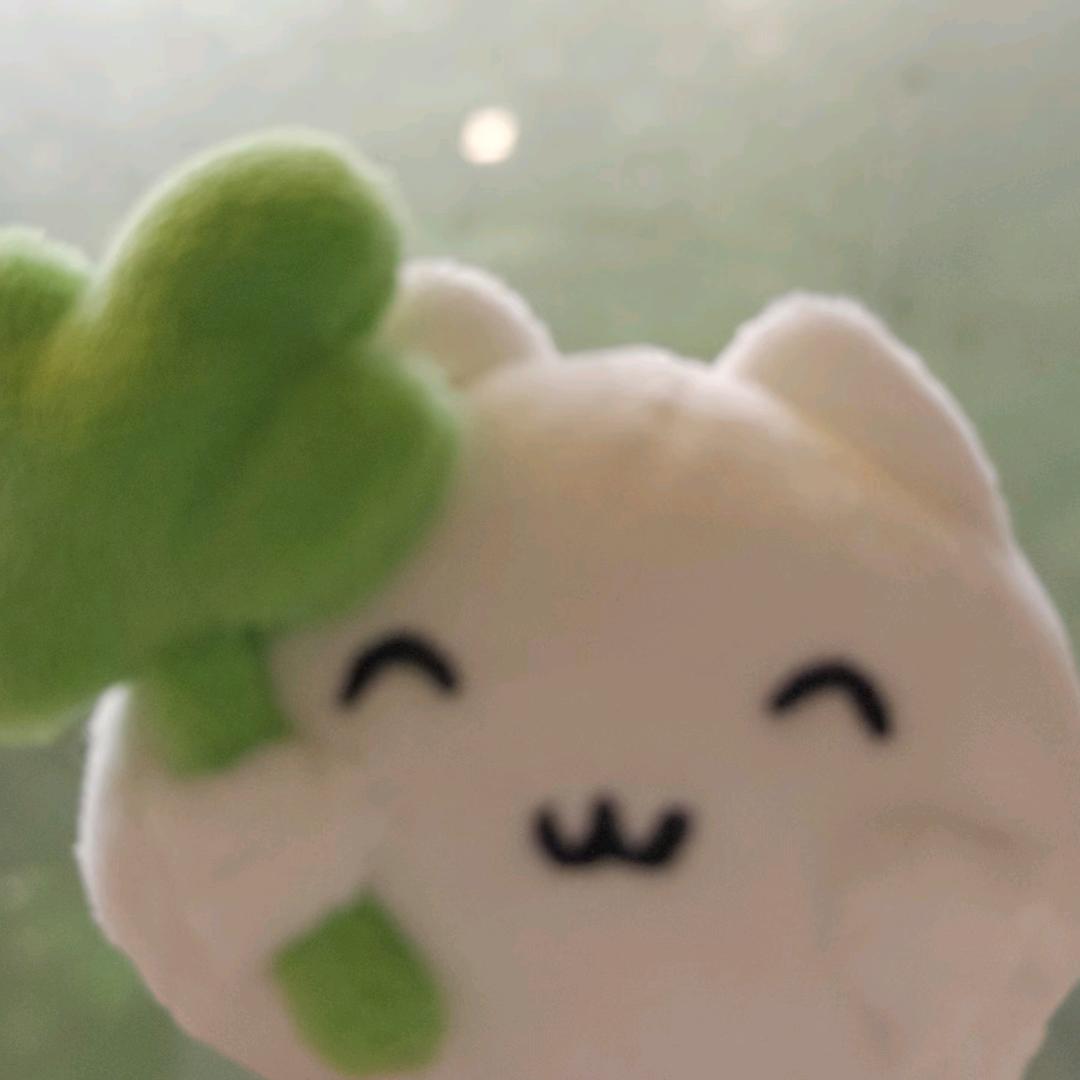 寻觅倾
