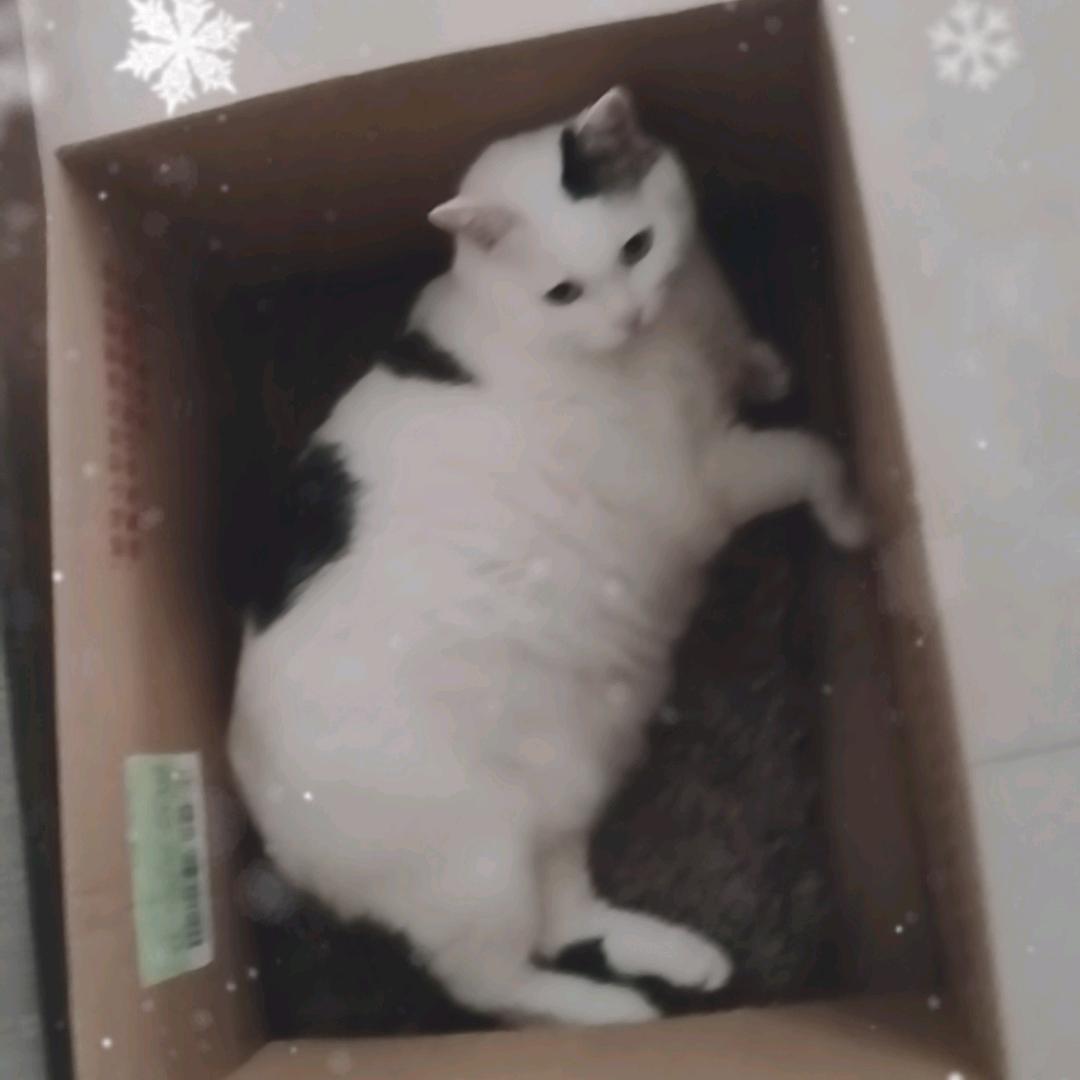铁牛就爱玩