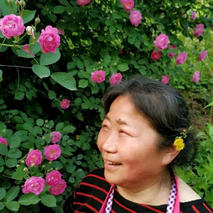 李唐果