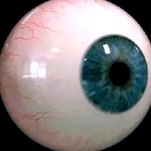 我来监督沙瑞金