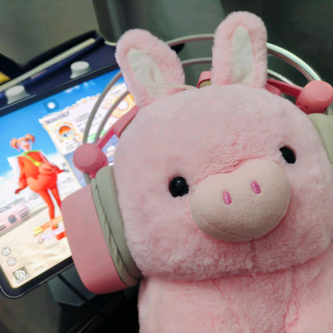 窝系猪୧⍤⃝🐷