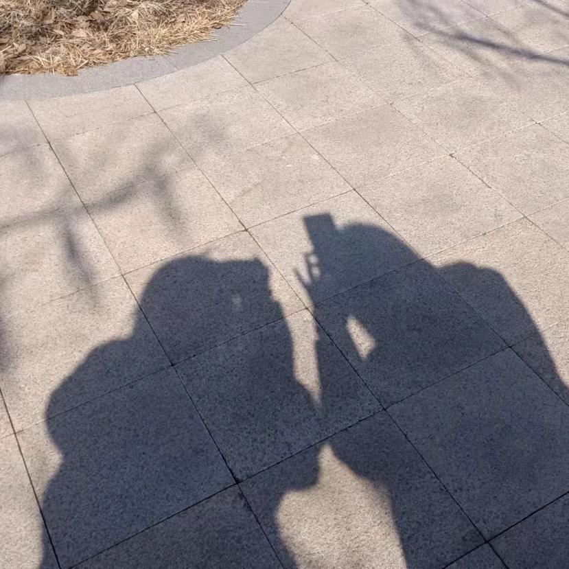 优雅的月光蔷薇🌹