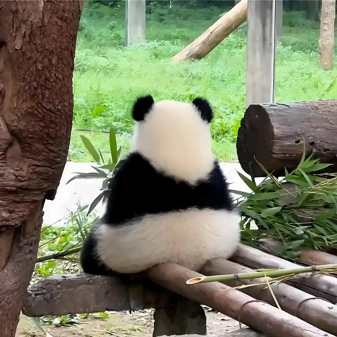 🍀悠然