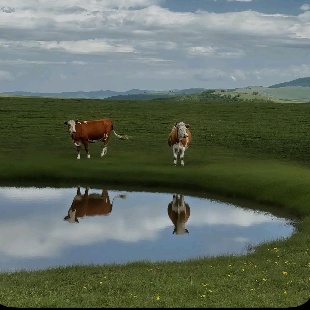 老白想坐时光机🙋‍♂️