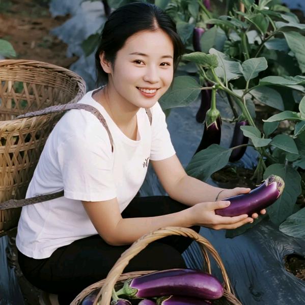 趁风扬帆