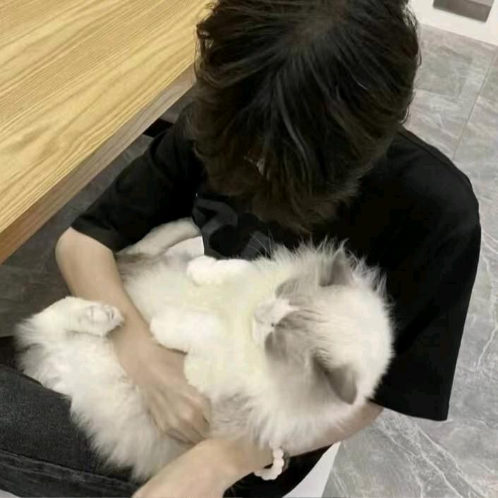 想睡觉😪