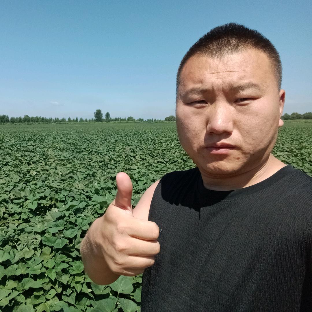 地瓜与生活