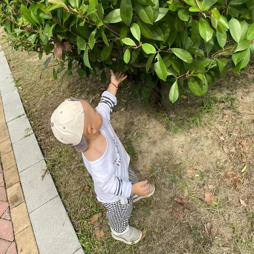 我们村俺最帅