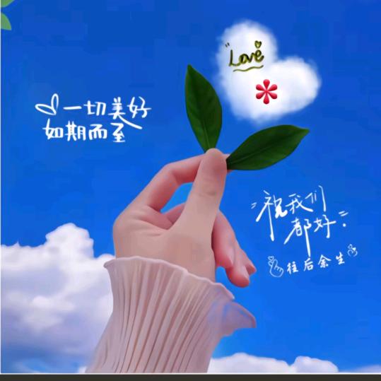 四叶草🍀🍀🍀