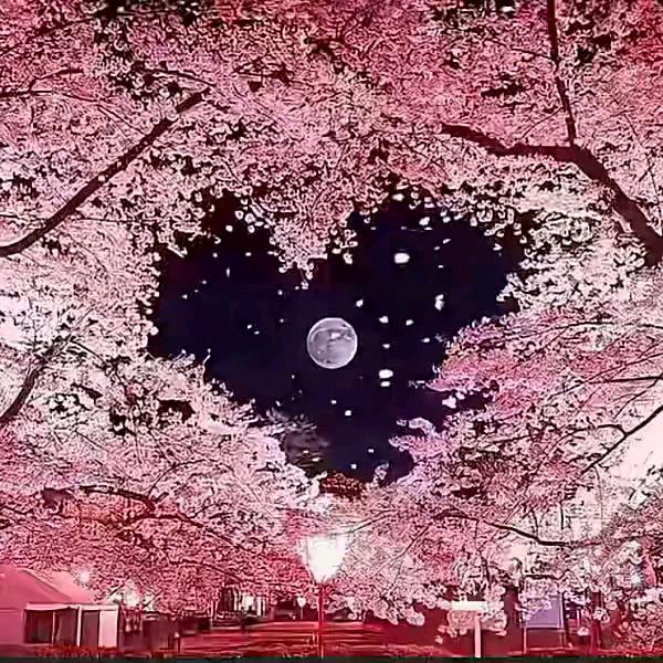 往🐇᭄后๑༻余꧂生🍓吧《从新开始》