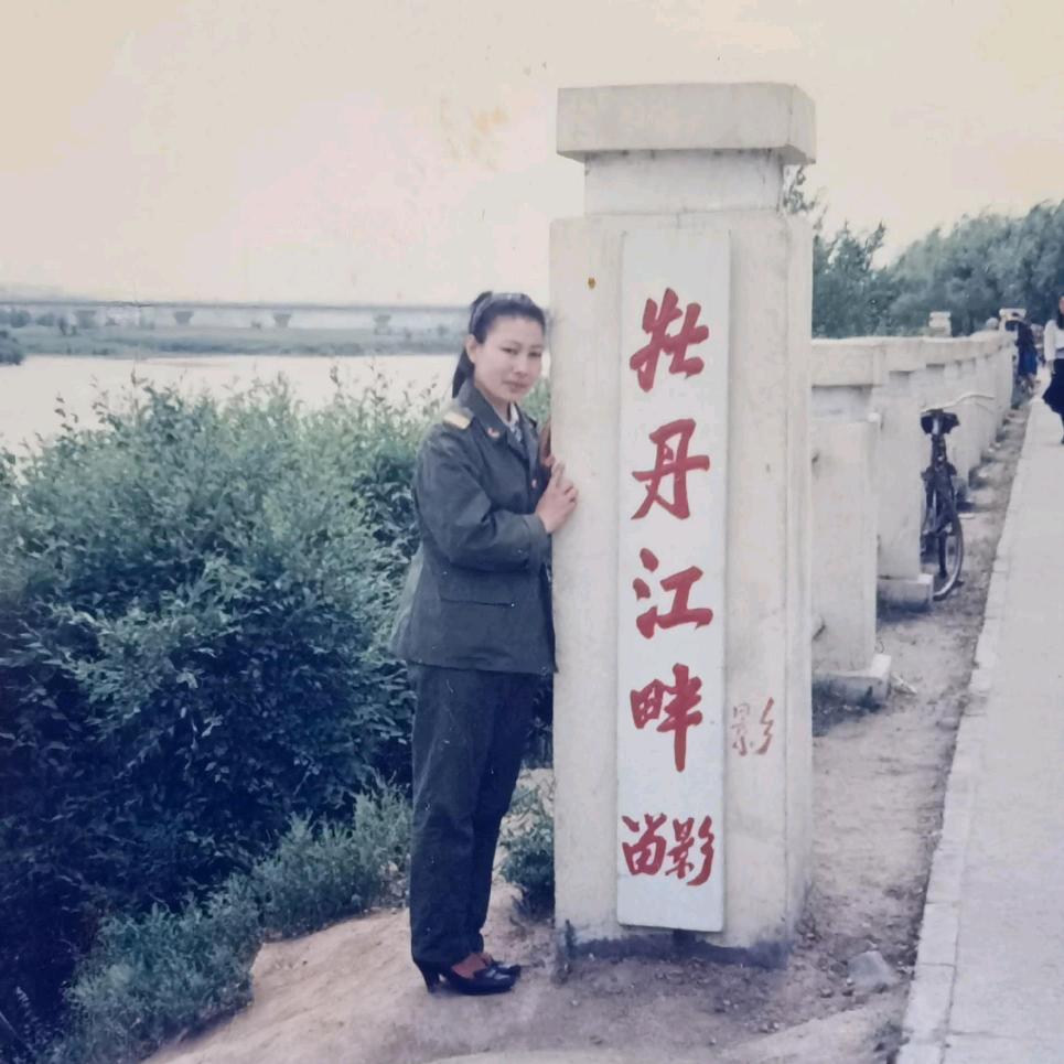 南飞雁