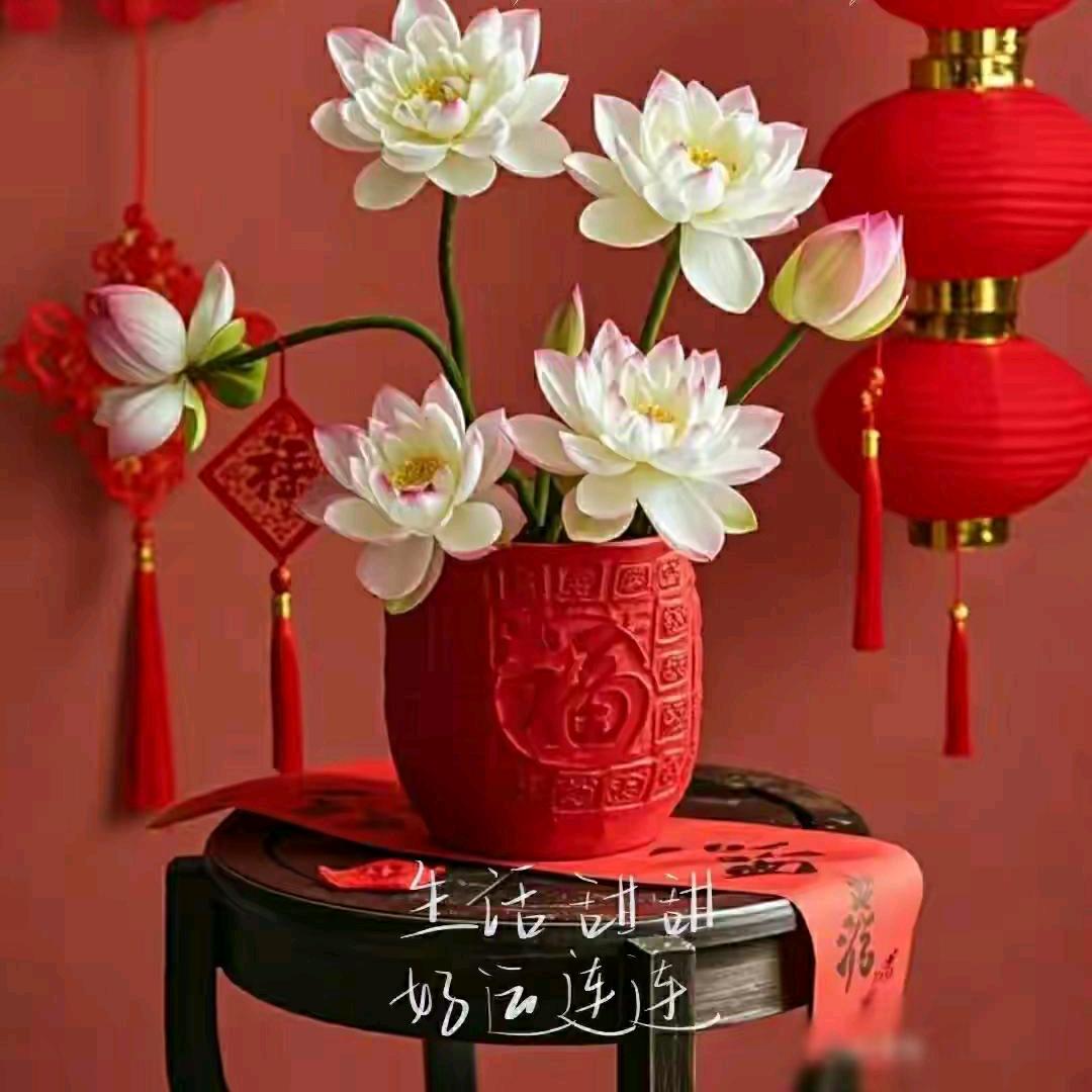 福🌻猫🌻姐🌻