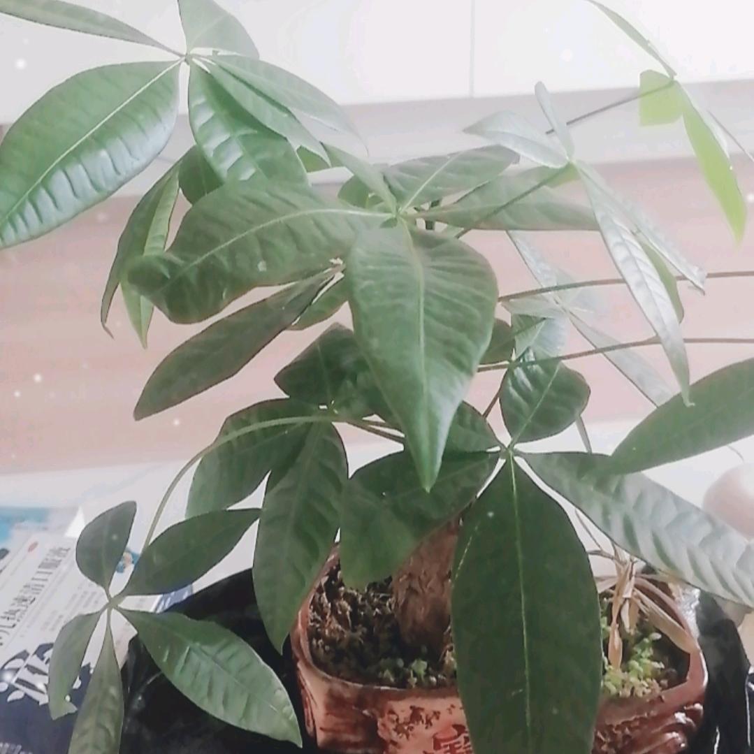꧔ꦿ℘一路💞᭄᪲ᩚ꯭ᩚ有你꧔ꦿ᭄
