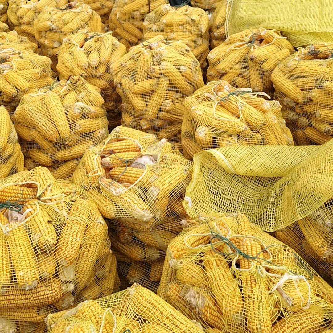 箭头（览秀迪）