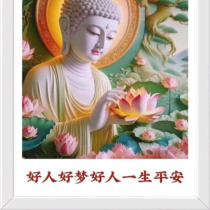 平安好运丽助力丰纳金$&&&