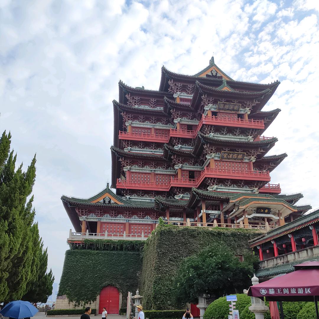 策