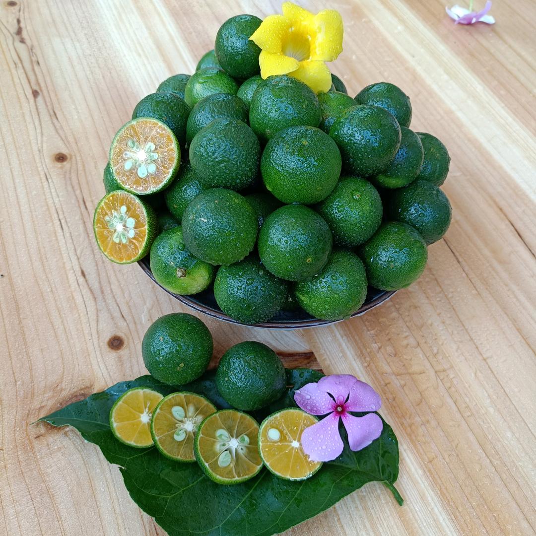 蔡银花