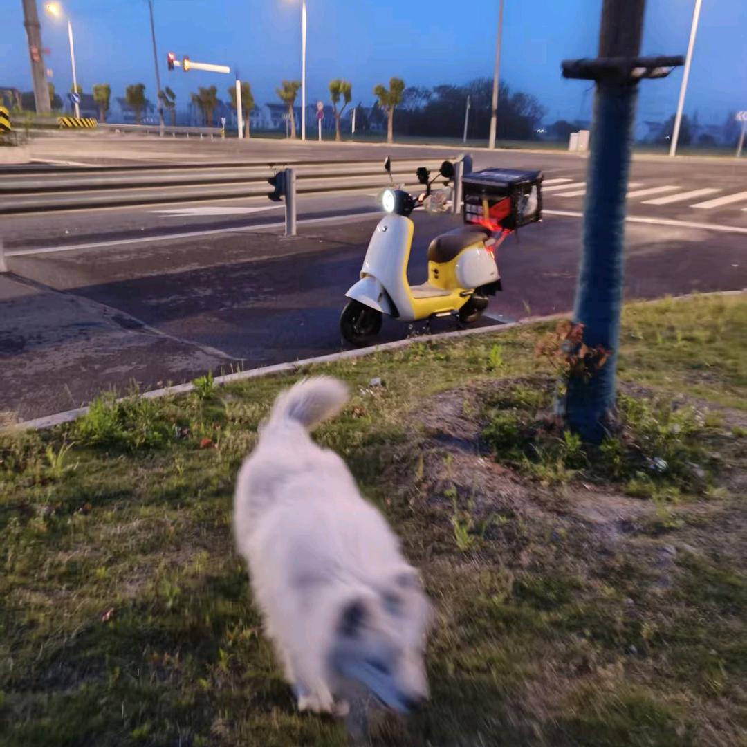 এ᭄朱朱送外卖♛