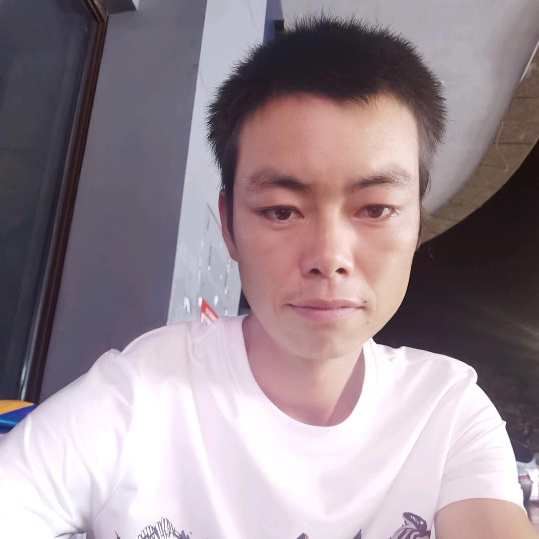 小岛蛋