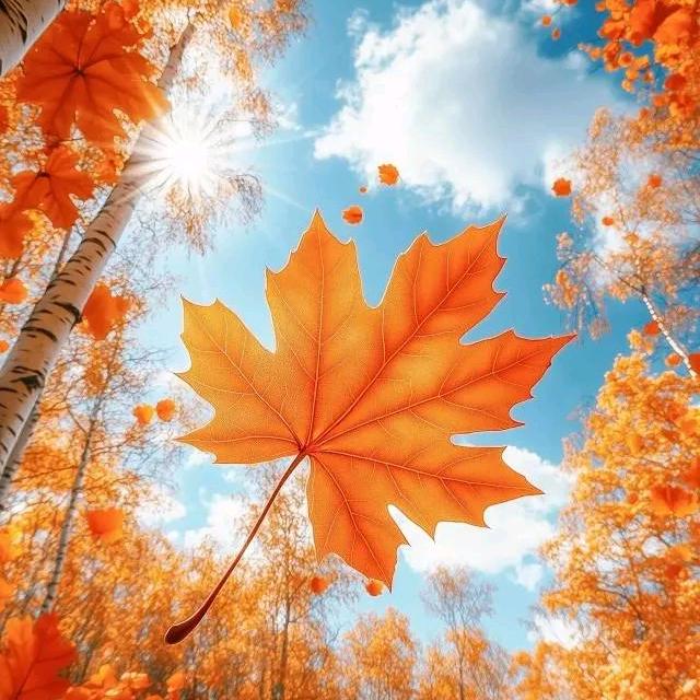 往后余生《累》连赞拉黑