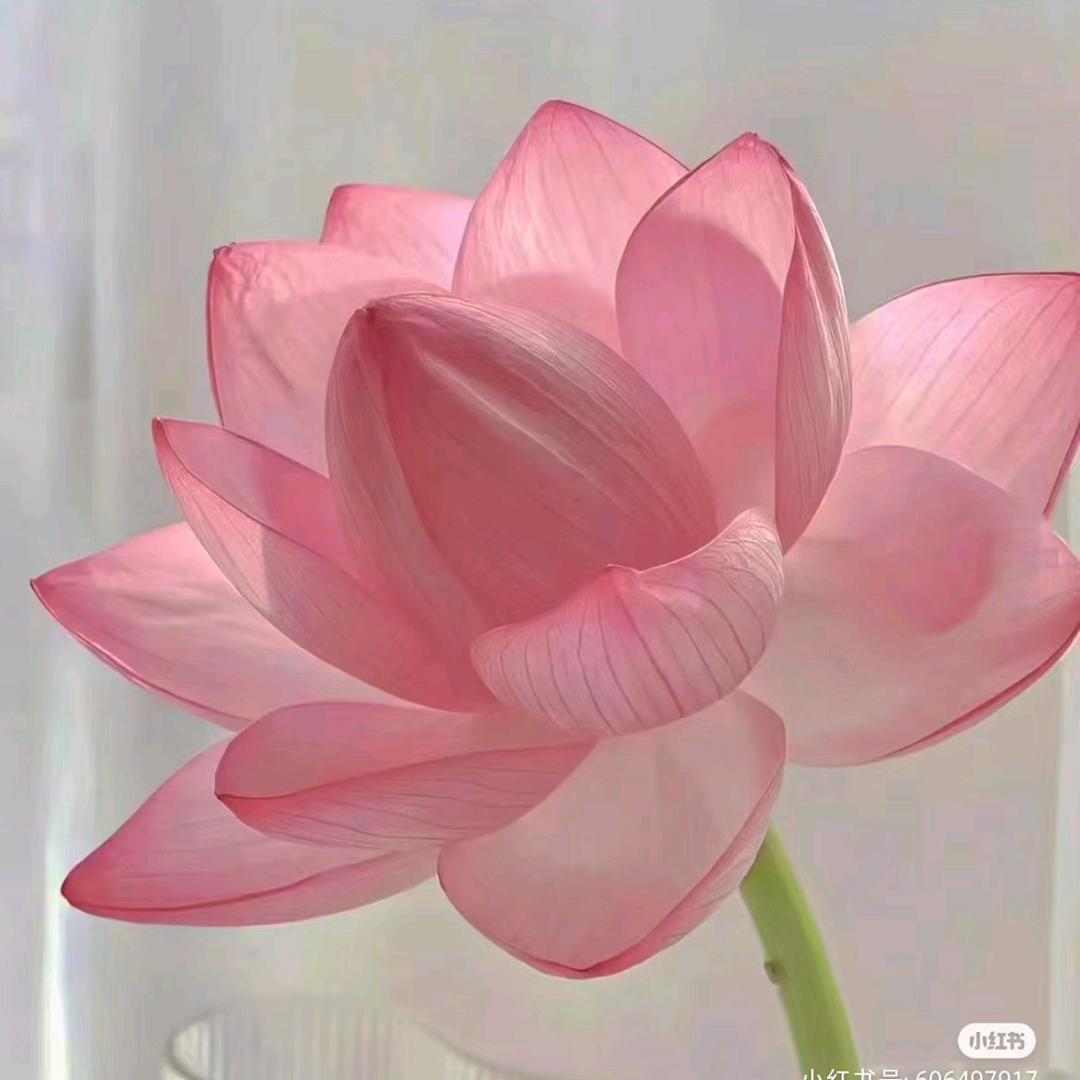 忘了过去