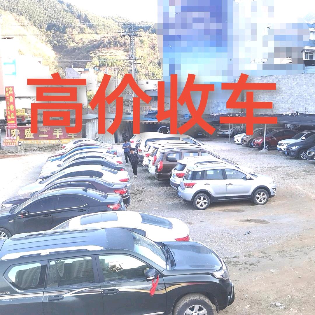 隆林小潘二手车批发